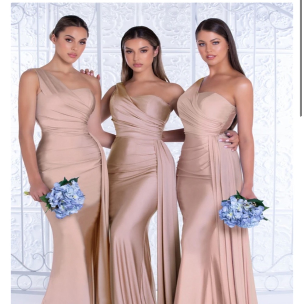 Portia and Scarlett stone dress. Beautiful and never worn.